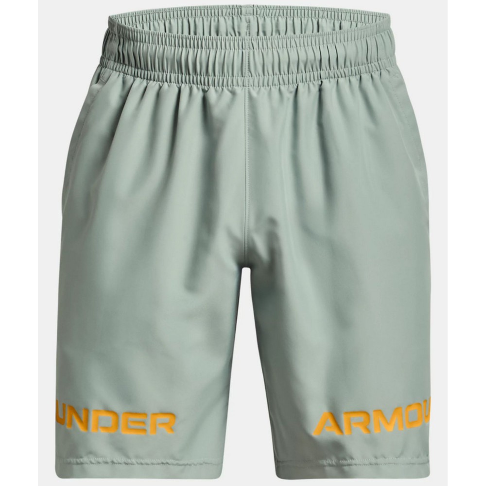 Shorts UA Woven Graphic