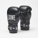 Boxing Ambassador Gloves