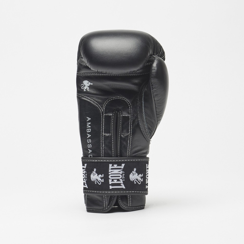 Boxing Ambassador Gloves