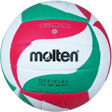 Volleyball V5M1300