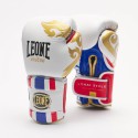 Thai Style Boxing Gloves