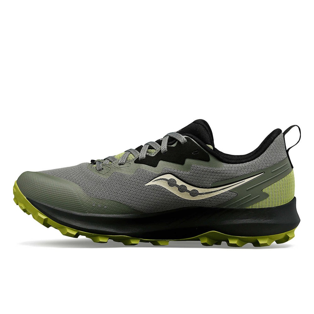 Men's Trail Running Shoe Peregrine 14
