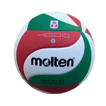 Volleyball V5M4000 MOLTEN