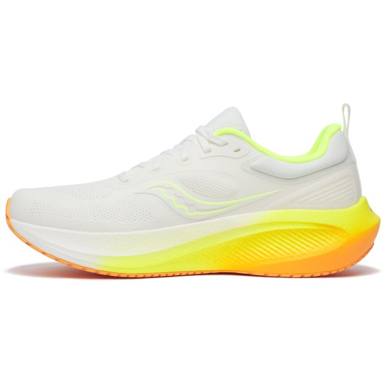 Scarpa Running Surge 3