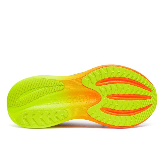 Scarpa Running Triumph 23