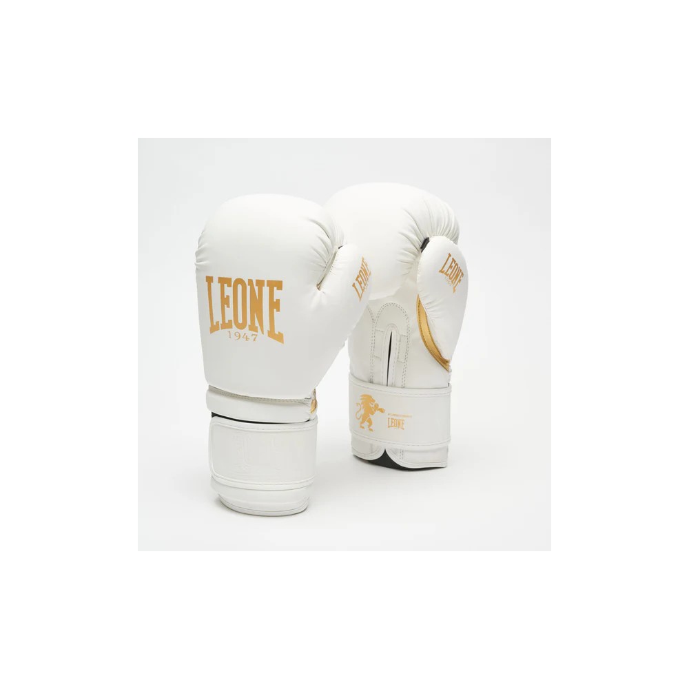 GUANTONI BOXE IDOL LEONE