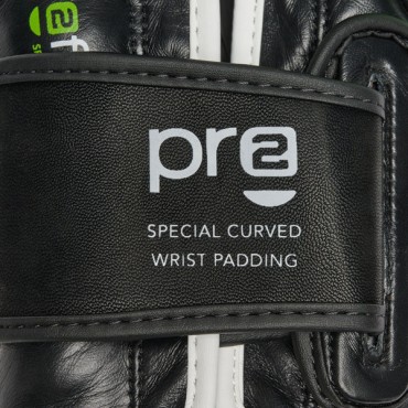 Guantoni da Boxe Professional 2 2