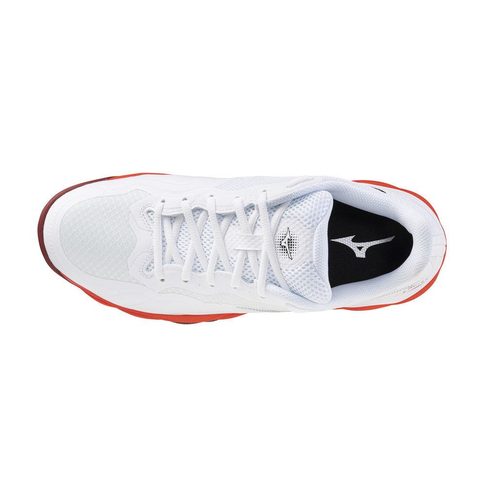 Scarpa wave enforce court cc