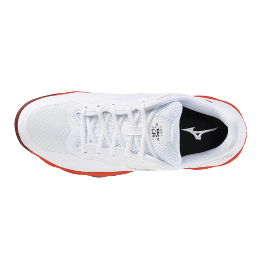 Scarpa wave enforce court cc