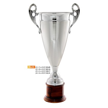 CM Cup 420 "2015"