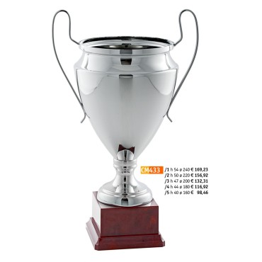CM Cup 433 "2015"