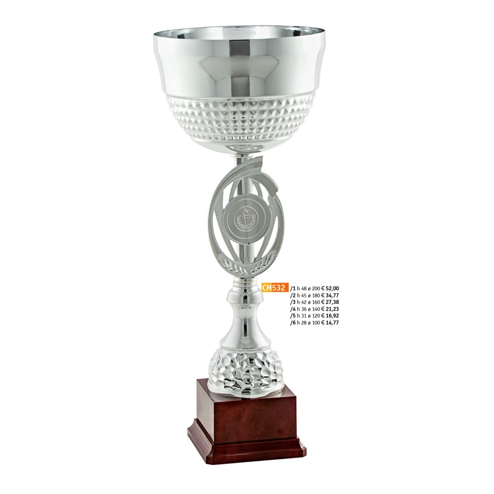 CM Cup 532 "2015"