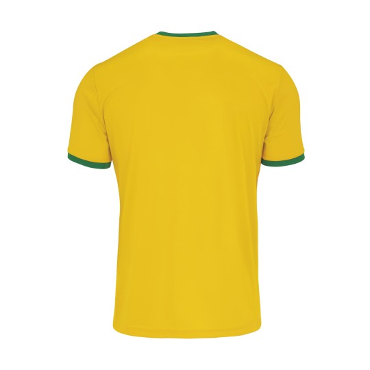 JARO yellow green Erreà jersey