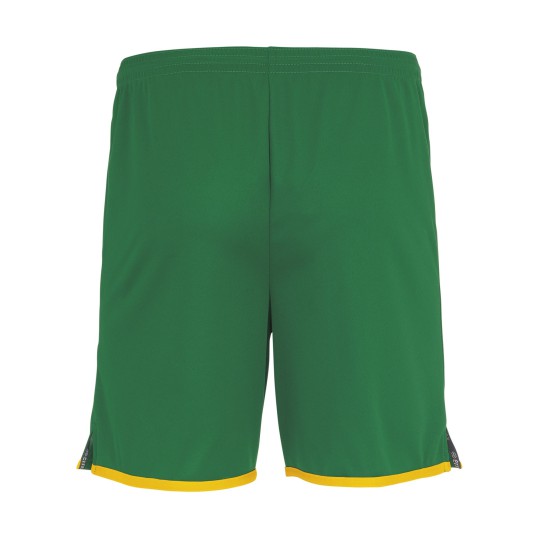 JARO Shorts Green Yellow Erreà