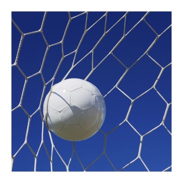 Regular size football net Mundial Net