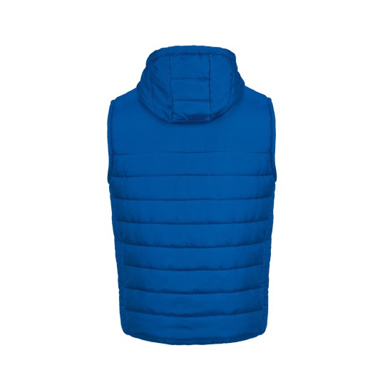 Blue Bjorn Vest
