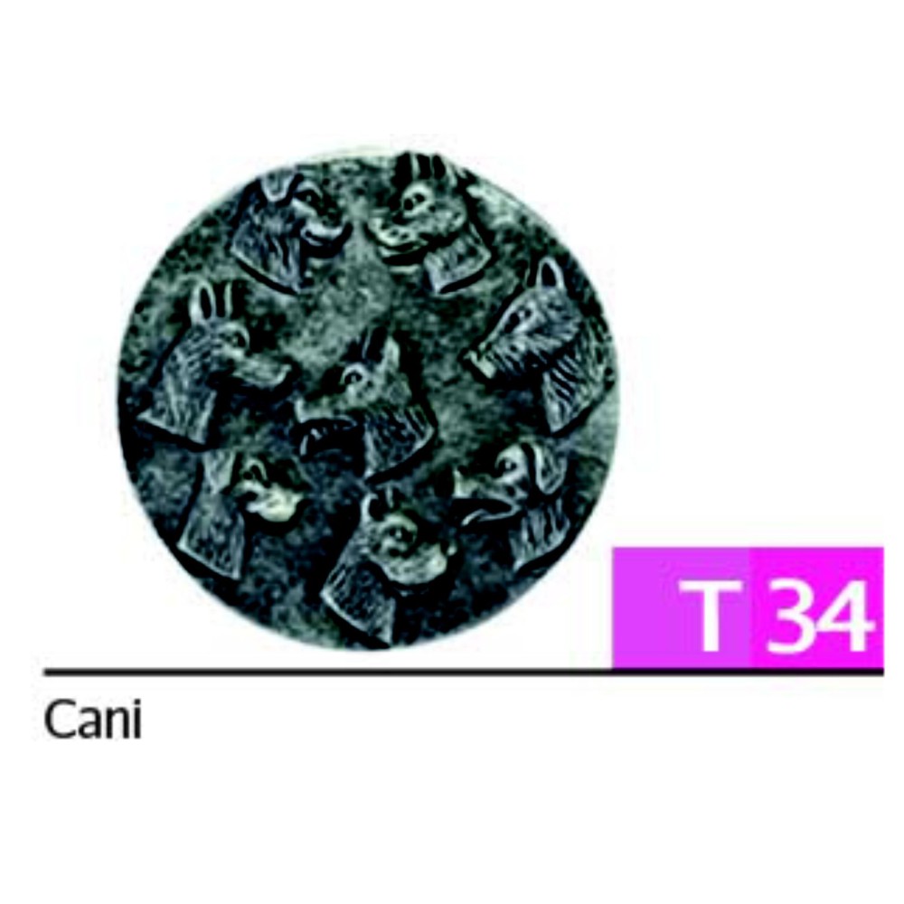 Disc Dogs Diam. 7 cm for Trophies