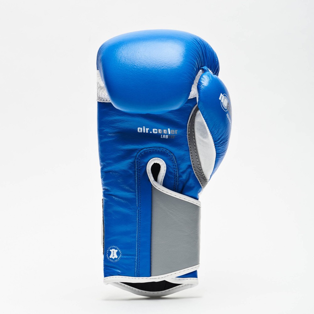 Guanto Box SHOCK Leone